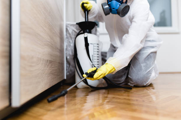 Best Pest Prevention Services  in Bethesda, OH